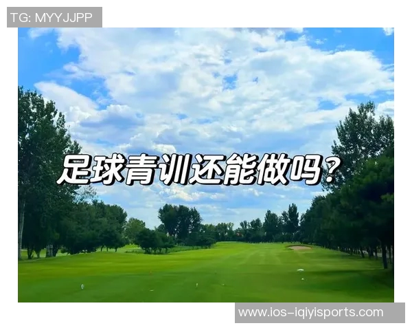 推动中国足球全面发展的策略与建议探索